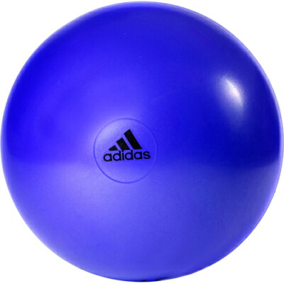 楽天市場 Adidas アディダス ジムボール 75cm パープル Adidas アディダス バランスボール エクササイズボール 価格比較 商品価格ナビ 楽天市場 Adidas アディダス ジムボール 75cm パープル Adidas アディダス バランスボール エクササイズボール 価格比較 商品価格ナビ